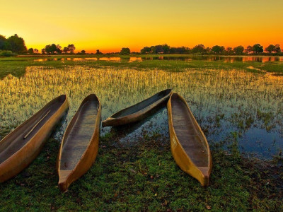 Africa Safaris: Top 5 Things to do at the Okavango Delta