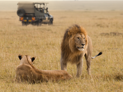 How to Choose the Right Safari Destination