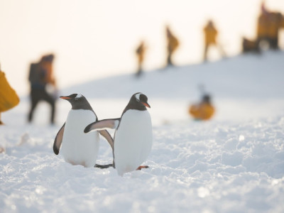 Antarctica