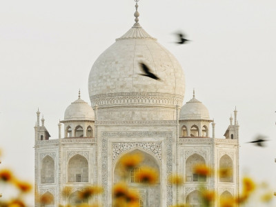 Experience the beauty of India's pride and joy - the Taj Mahal at sunset.