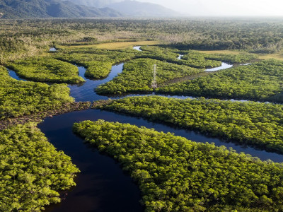 Aerial view of Rainforest, Brazil, South America