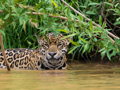 Best time to visit South America - Brazil