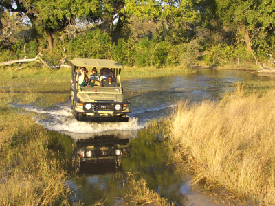 Discover the Best Time to Visit the Okavango Delta