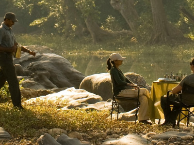 Five Top Tips For Safari Success