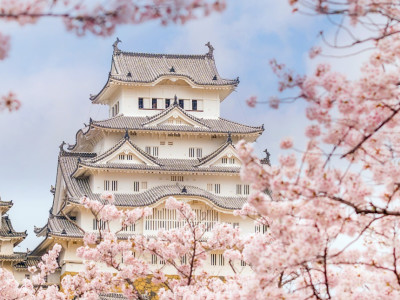 Enchanting Travels Japan Tours Himeji castle with sakura cherry blossom festival in Japan