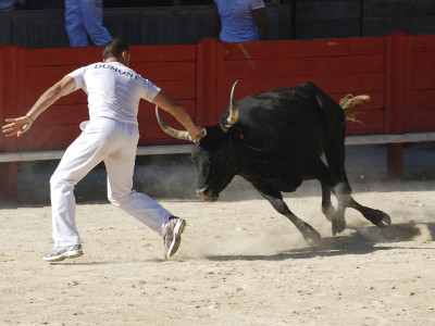 Stierkampf á la Camargue – Frankreich Reisebericht