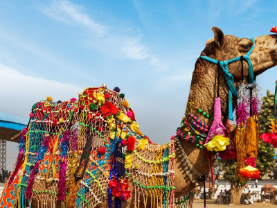 Bunt, skurril und spannend – das Jaisalmer Wüstenfest