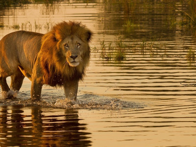 Botswana Tour