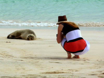 Photographing a seal on the beach - Visit the Galapagos Islands