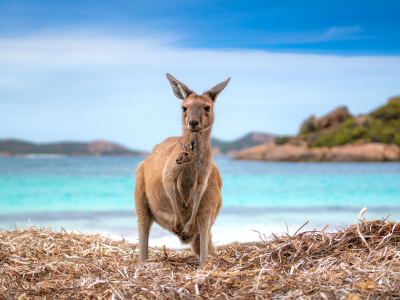 australia's best beaches