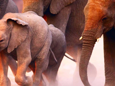 Namibia Tour