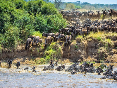 Our Top 5 Mobile Camps to Experience the Great Migration