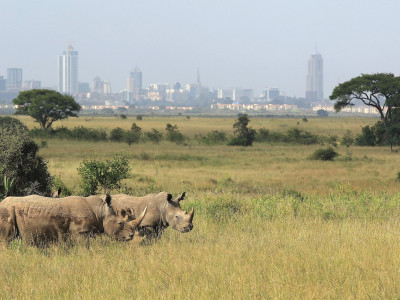 Meine Stadt Nairobi: Insidertipps