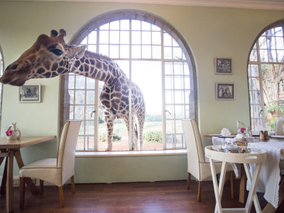 The World’s Most Unique Hotels