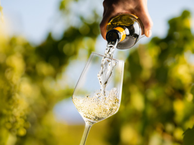 Our Favorite Journeys of 2025