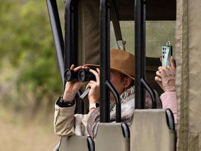 Safari für Einsteiger: Tipps für Ihre erste Safari in Afrika