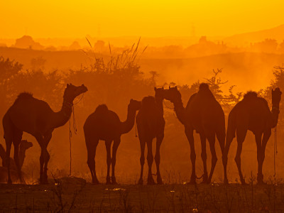 Luxury Travel in India: 9 Unforgettable Experiences