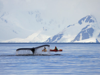 Milestone Birthday Trips: Celebrate the Years in Extraordinary Places