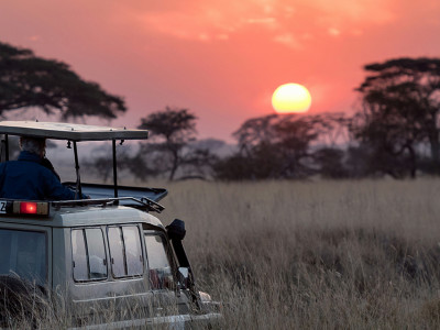 Warum nach Tansania reisen? 5 gute Gründe