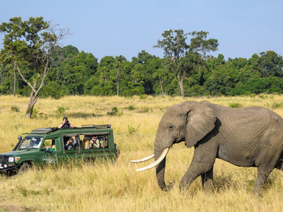 Journey through Kenya by Governors’ Camp