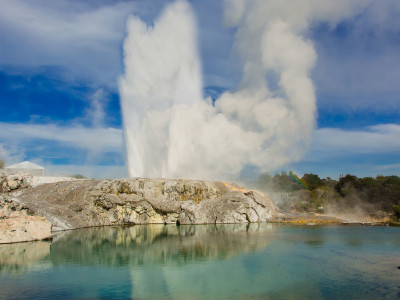 Te Puia, Rotorua