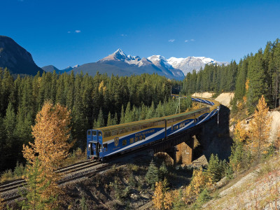 a train traveling down train tracks near a forest