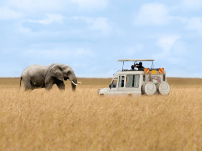 Masai Mara and Beach Holiday