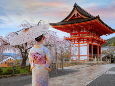 Luxury Japan and Mount Fuji
