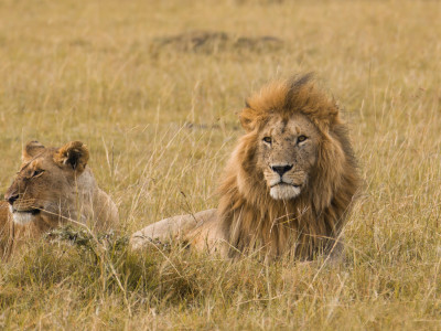 Overland Safari – Discover Kenya