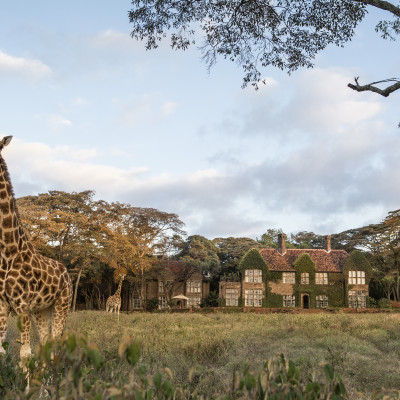 Kenia und Tansania: Safaris, Serengeti & Sansibar