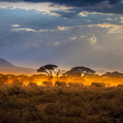Kenia: Safaris im Süden & Strandauszeit