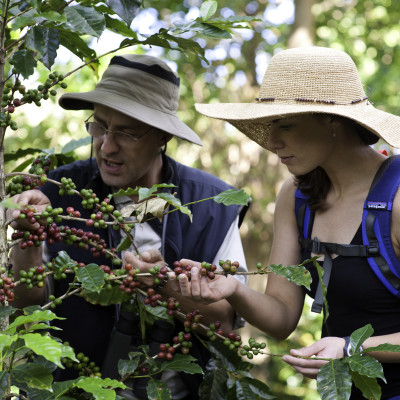 Costa Rica: Wildlife and Nature