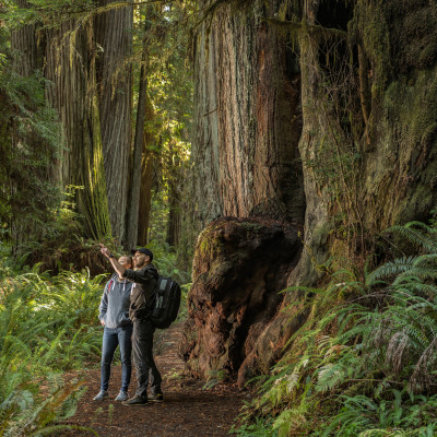 Roadtrip: Nationalparks im Westen der USA