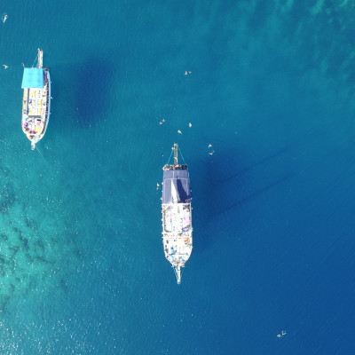 Yassica Island Turkish Mediterrenean