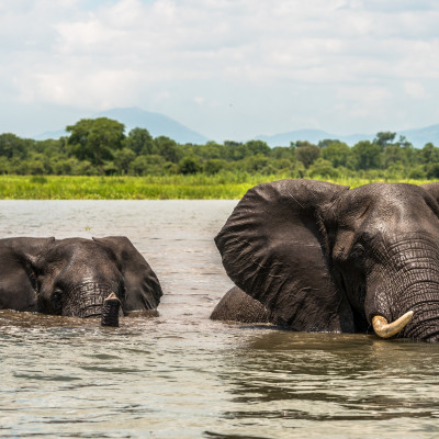 Malawi