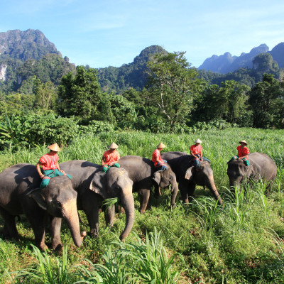 Wildnis Thailand: Rundreise durch den Süden