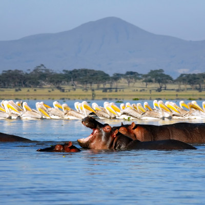 Highlights of Kenya