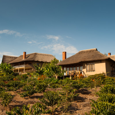Tansania: Safari-Abenteuer und romantisches Sansibar