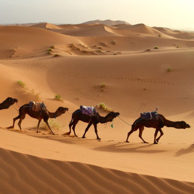 Marokko: Souks, Gipfel und Sahara