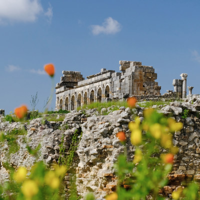 Old Roman city of Volubilis in Morocco