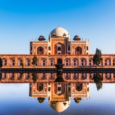 Tiger Safari in India and the Taj Mahal