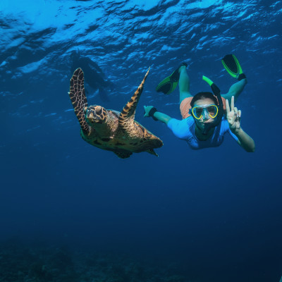 A girl and turtle underwater, Seychelles, Africa