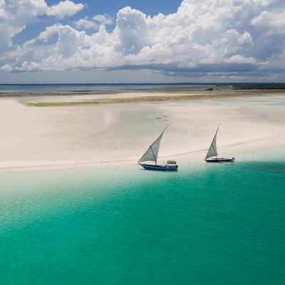 Kenya and Tanzania: Safari and Beach
