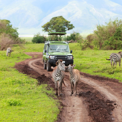 Tanzania, Kenya and Zambia: Safari and Waterfalls