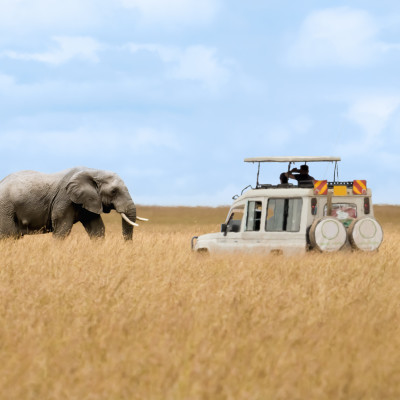 Tanzania, Kenya and Zambia: Safari and Waterfalls