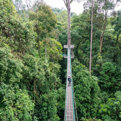 Highlights of Borneo