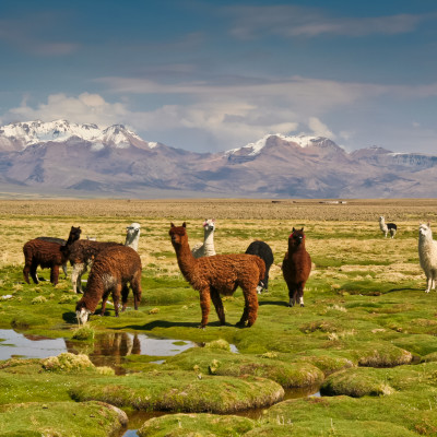 Bolivien