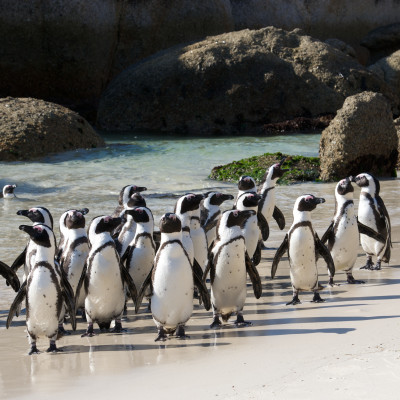 Road Trip: South Africa’s Western and Eastern Cape