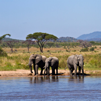Tanzania: Southern Wilderness and Beach