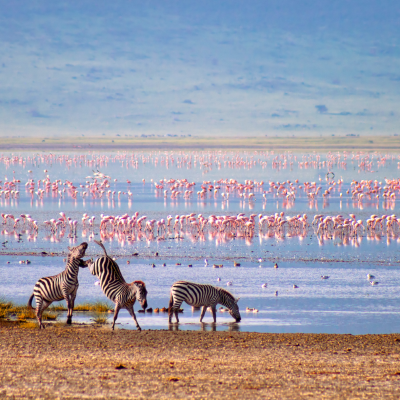 Lavish Northern Tanzania
